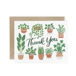 Thank you card with illustrated potted plants and green lettering