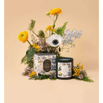 Rifle Paper Co High Peaks of the Adirondakc Forest Soy Candle