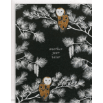 Owl-themed card with pine branches and the words "another year wiser"