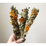 Hand holding three dried orange marigold herb bundles tied with white string.