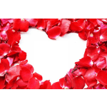 Red rose petals arranged in a heart shape on a white background