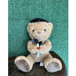 Teddy bear in a graduation cap holding a diploma