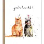 Two illustrated cats sit side by side on a white background with handwritten text above.
