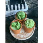 Three small terracotta pots with green succulent-shaped candles on a tray