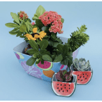 Watermelon succulents fruit bowl bouquet (* comes with complimentary bunch of sunflowers)