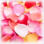 Pile of multicolored rose petals in pink, red, white, and yellow