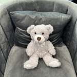 White teddy bear with a ribbon sitting on a gray chair