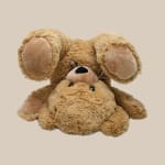 Two plush teddy bears stacked together on a plain background
