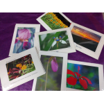Assorted floral photo cards spread on a purple surface