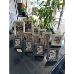 Assorted decorative photo frames displayed on a table