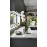 White Phalaenopsis Orchid Arrangement – Single Stem Premium Gift
