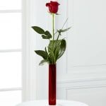 Single red rose in a tall red vase