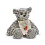 Plush teddy bear holding a heart-themed tag