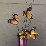 Multi Monarch Butterfly Pick