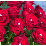Close-up of red roses with clear gem centers