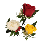 Three rose boutonnieres in red, white, and yellow