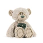 Plush teddy bear with a green pocket on a white background