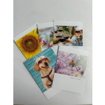 Four greeting cards with sunflower, wine toast, dog, and bird designs