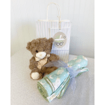 Teddy bear with a baby blanket and gift bag