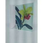 Floral greeting card with a yellow and red orchid illustration