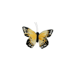 Yellow and black butterfly decoration on a white background