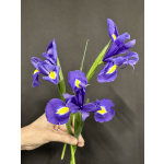 Add 3 Iris