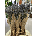 Bundles of dried lavender wrapped in burlap in a box