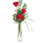 Three red roses in a tall clear glass vase with greenery