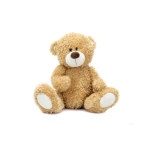 Plush teddy bear sitting on a white background