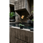 Single orchid stem in a black textured pot beside a pool