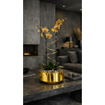 Two orchid stems in a gold planter with a spiral ribbon