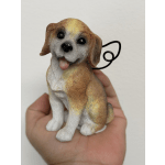 Angel Puppy