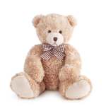 Plush teddy bear with a checkered bow sitting on a white background