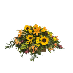 Sunflower Sentiment