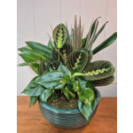10" Ceramic Dish Garden