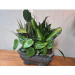12" Ceramic Dish Garden