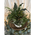 8" Dish Garden