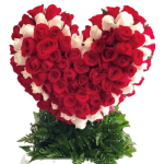 Heart-shaped red and white rose arrangement on a green base