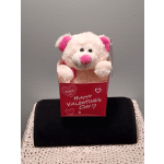White and pink plush teddy bear in a red Valentine's Day gift box