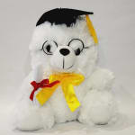 White teddy bear in a graduation cap holding a diploma