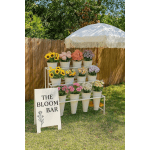 Rent a Bloom Bar for your celebration