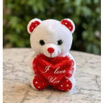 Small Plush Teddy Bear with Heart