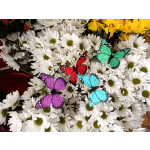 White daisies with colorful butterfly decorations