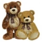 Two teddy bears with bows sit side by side on a white background.
