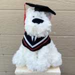 Graduation Dog Plush