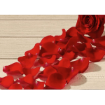 Red rose petals scattered beside a red rose on a wood surface