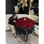 101, 150, 250 Red Plus one white