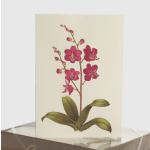 Greeting card with a pink orchid illustration