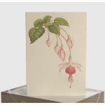A greeting card with a painted pink fuchsia flower and green leaves