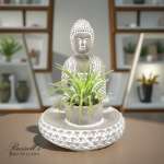 Small green plant in a white Buddha-shaped planter